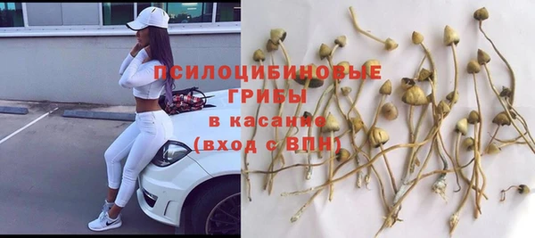 стафф Дмитриев