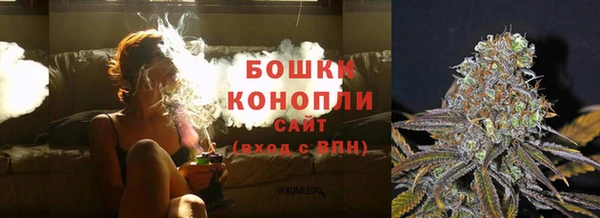 стафф Дмитриев