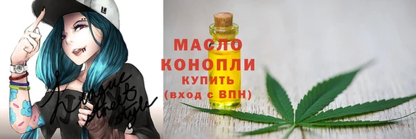 соль ск Дмитровск