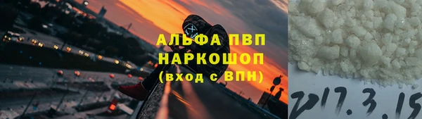 стафф Дмитриев