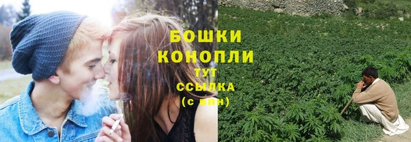 стафф Дмитриев