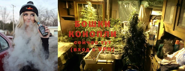 стафф Дмитриев