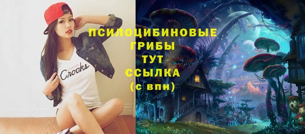 mdma Дмитров