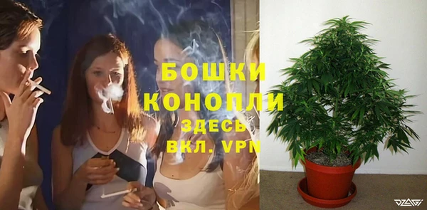 соль ск Дмитровск
