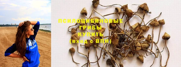стафф Дмитриев