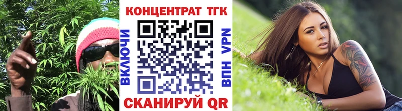 Купить где  Кодинск  ТГК концентрат 