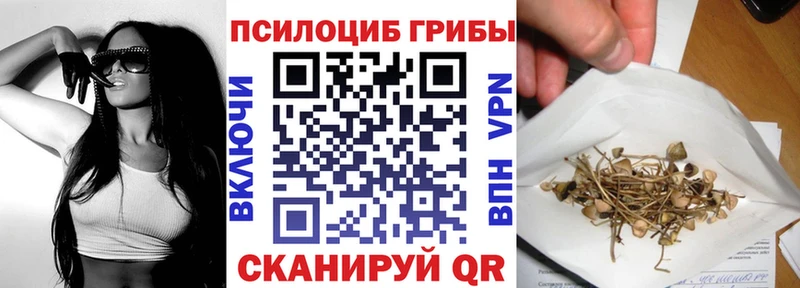 Купить закладки  Кодинск  Галлюциногенные грибы MAGIC MUSHROOMS 
